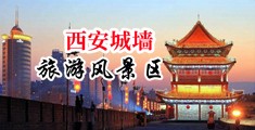 免费看男女操B内射在线观看中国陕西-西安城墙旅游风景区