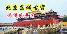 美女靠大逼中国北京-东城古宫旅游风景区